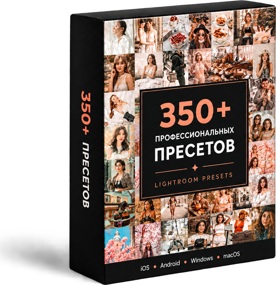 Коробка полной коллекции из 350 профессиональных пресетов Lightroom