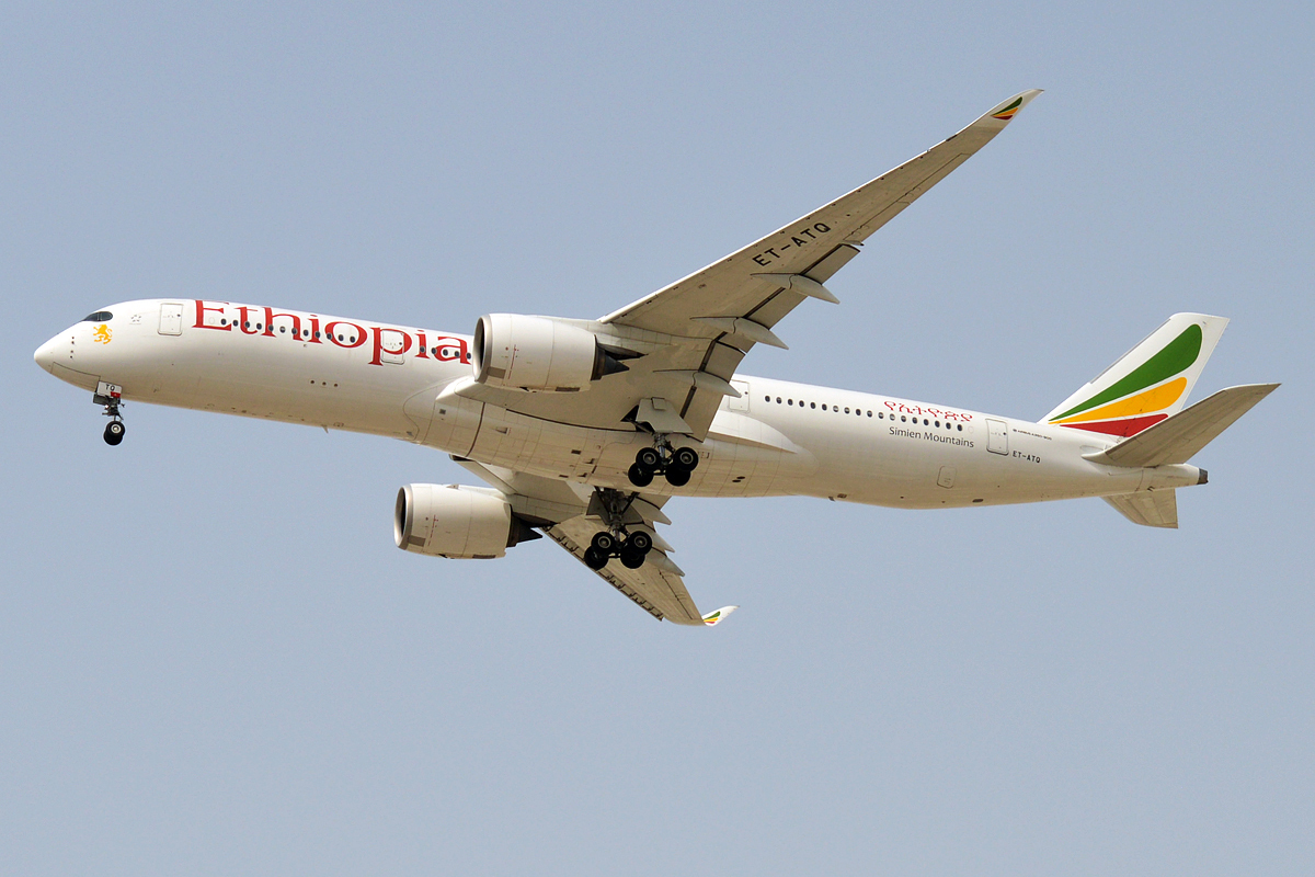 Ethiopian airlines отзывы. Эфиопские авиалинии. Нигерийские авиакомпании. Et 761 Ethiopian Airlines. Самолёты эфиопские авиалинии коробки с розами Эквадор.