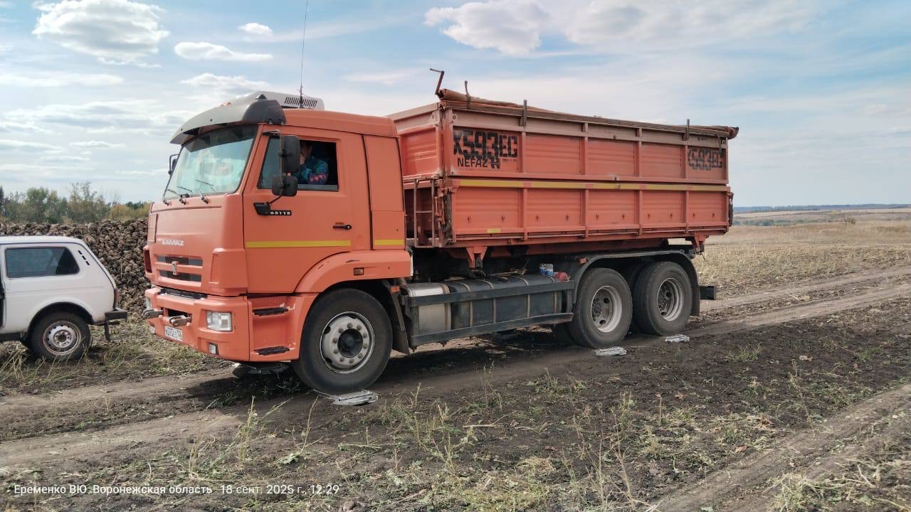 Взвешивание зернового автомобиля