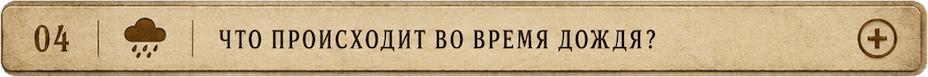 Что происходит во время дождя?
