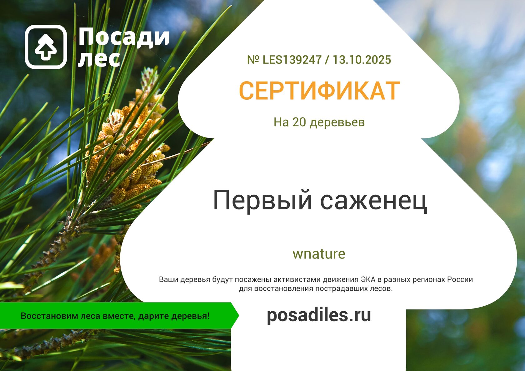 Посадить лес wnature просто!
