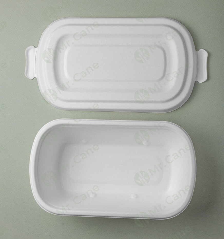 контейнер из сахарного тростника с крышкой