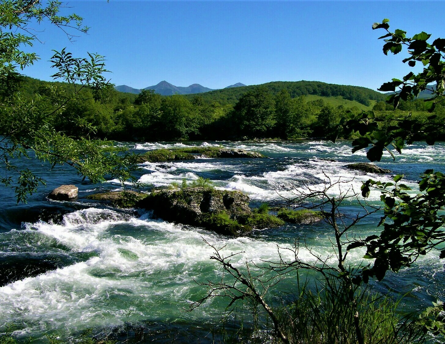 Река быстрая Камчатка