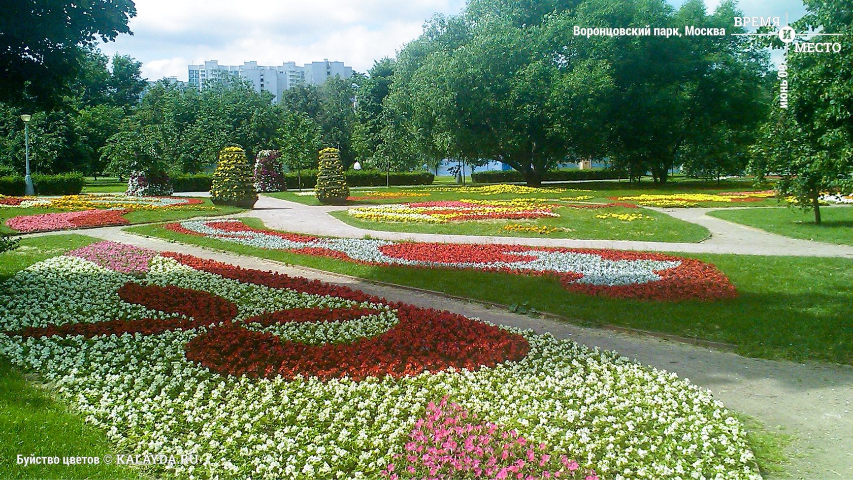 воронцовский парк в москве