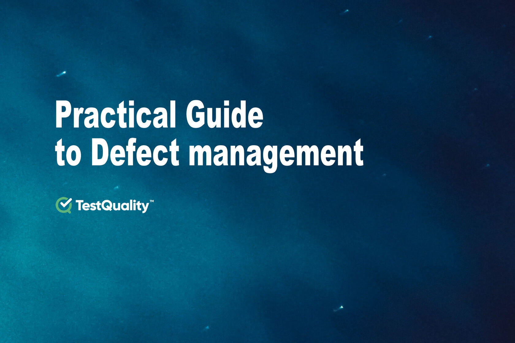 Practical Guide to Software Testing Defect Management | TestQuality