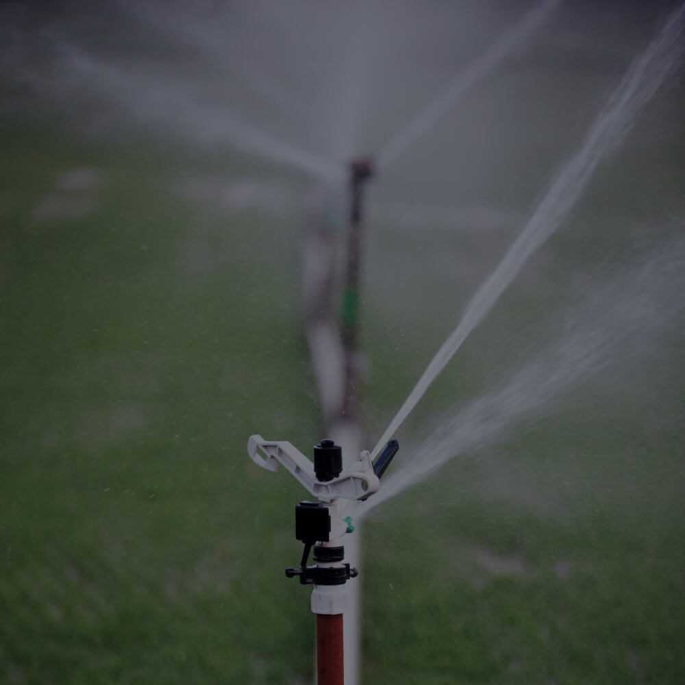 Автополив растений