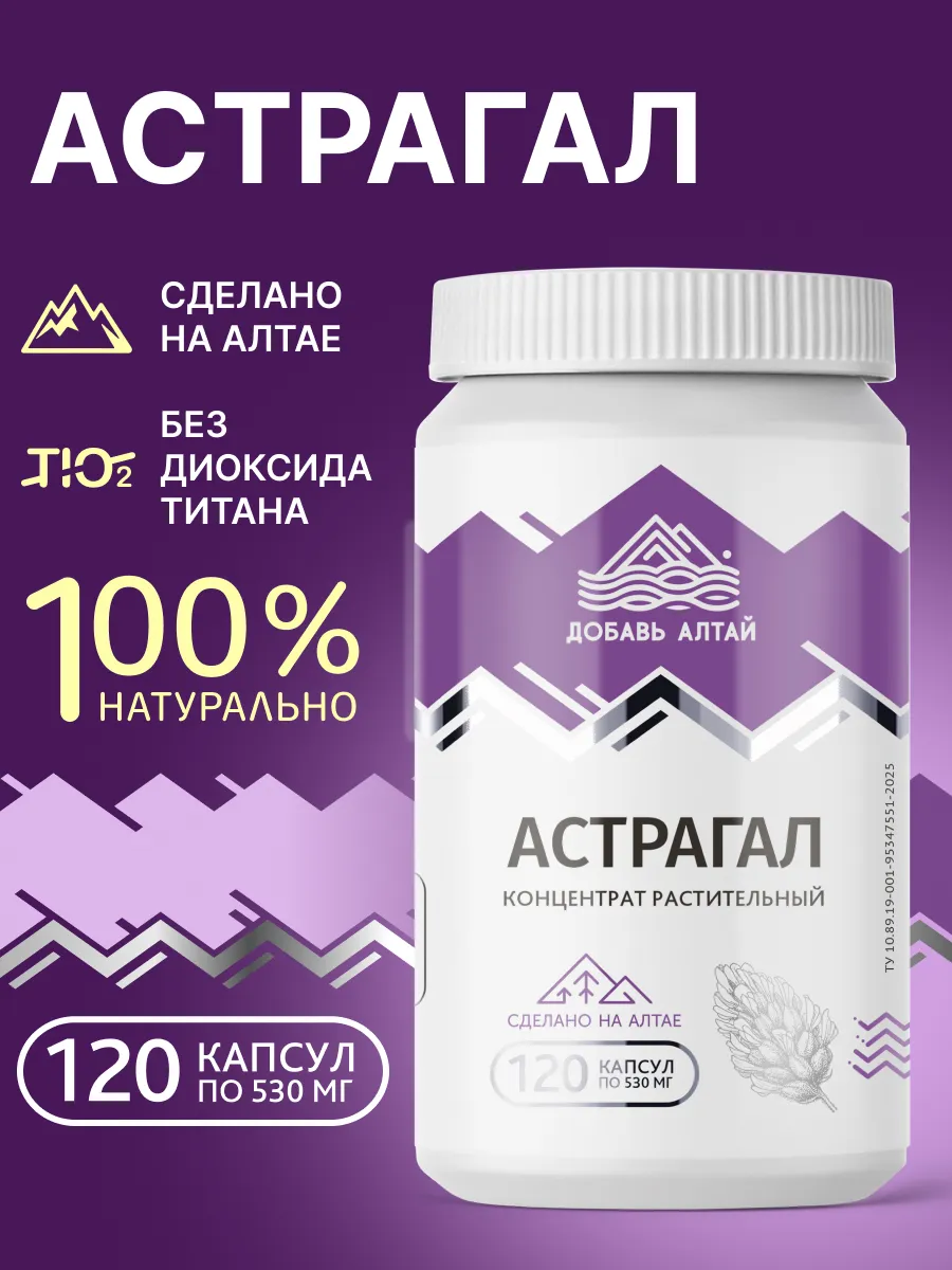 Астрагал в капсулах шерстистоцветковый трава