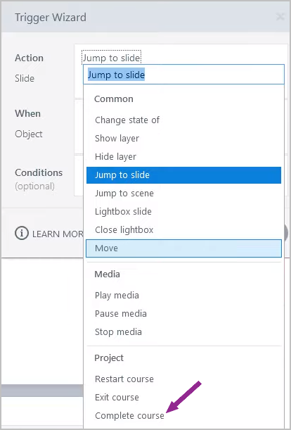 Articulate Storyline