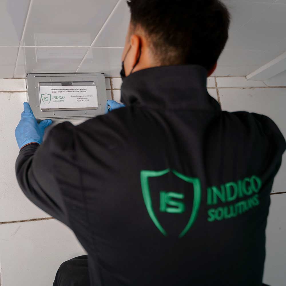 дератизация грызунов