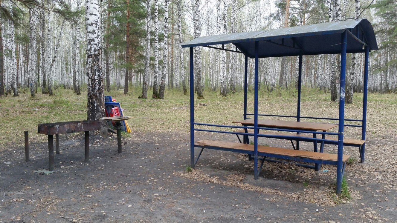 Где пожарить шашлык в екатеринбурге. Мангальная зона Плеханово Тюмень. Плеханово шашлыки. Джамгаровский парк место для шашлыка. Оборудованное место для шашлыка.