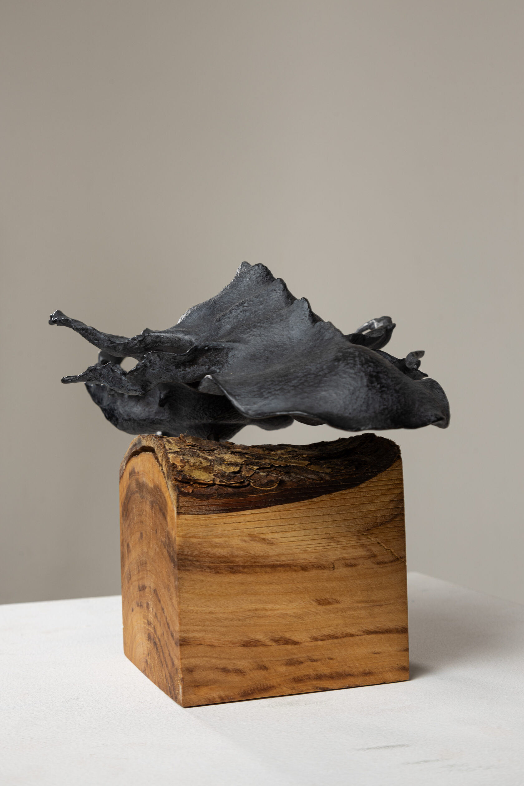 Скульптора Леонида Погребного