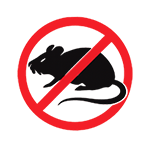 Обработка от крыс