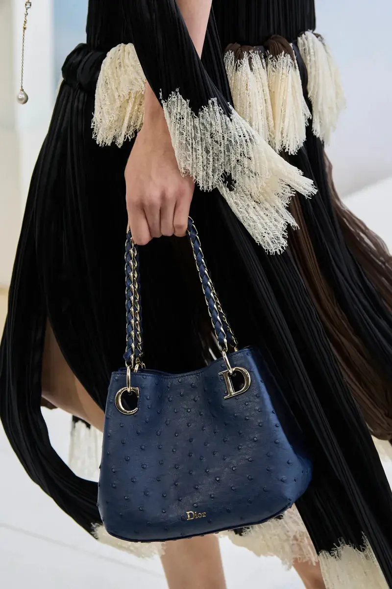 Сумки Dior Spring 2027 22