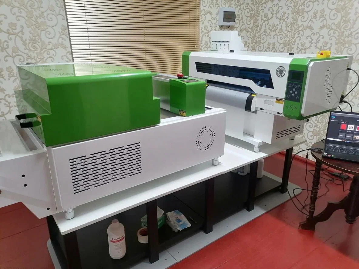 Запуск нового DTF-принтера SANTOS 30 см i1600*2 в г. Каменка, Владимирская область