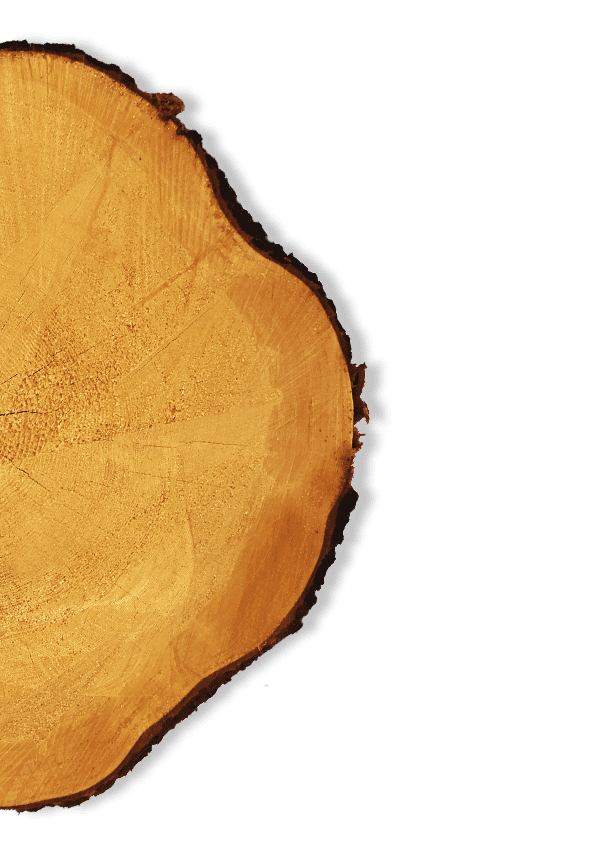 Построить дом-баню из леса зимней рубки