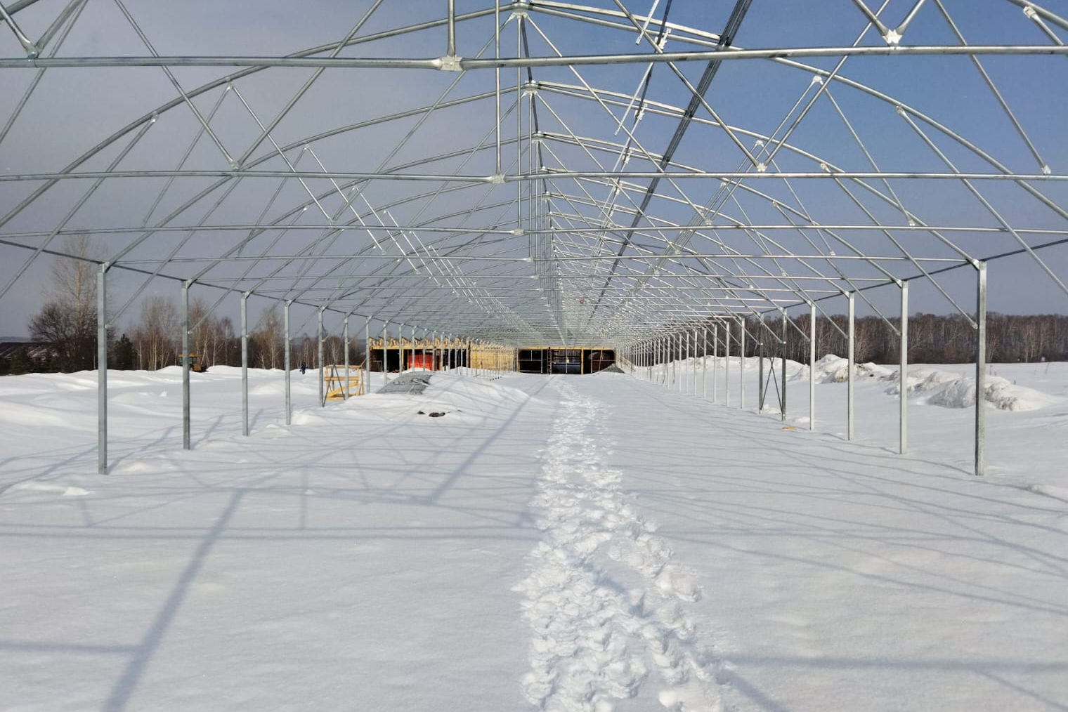 выращивание растений