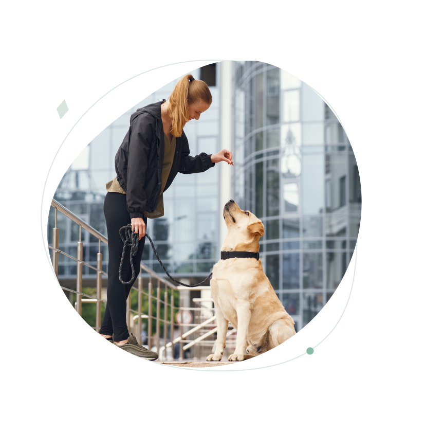 Где учиться на кинолога, чтобы получить образование с нуля? Кто такой ...