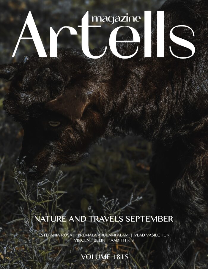 Mening teshikimni chozing