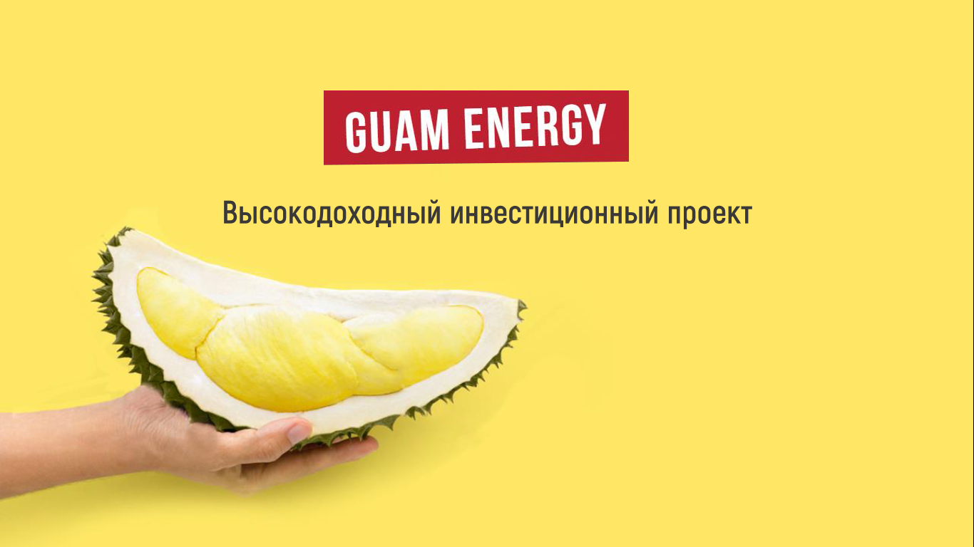 Портфолио презентации Guam Energy