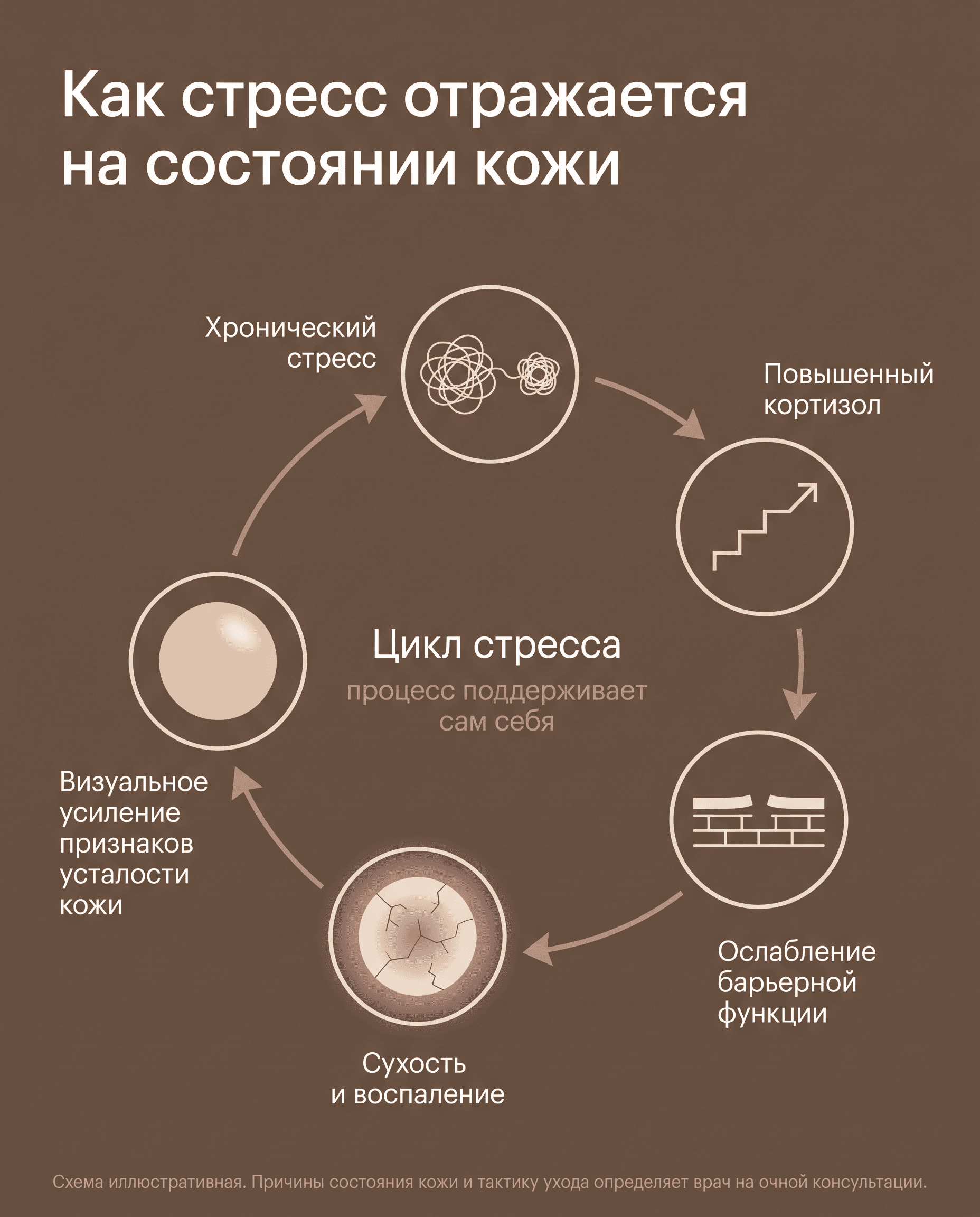 Как хронический стресс отражается на барьерной функции кожи