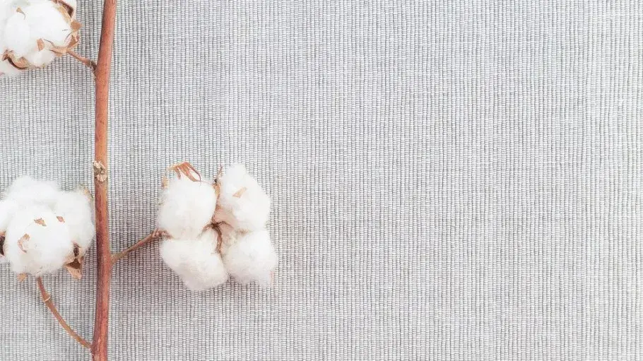 «Хлопок: Ткань нашей жизни»