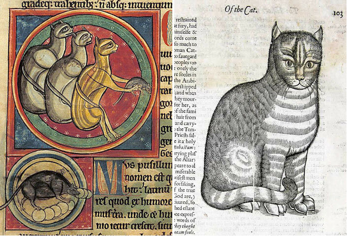 Кошка в Средние века