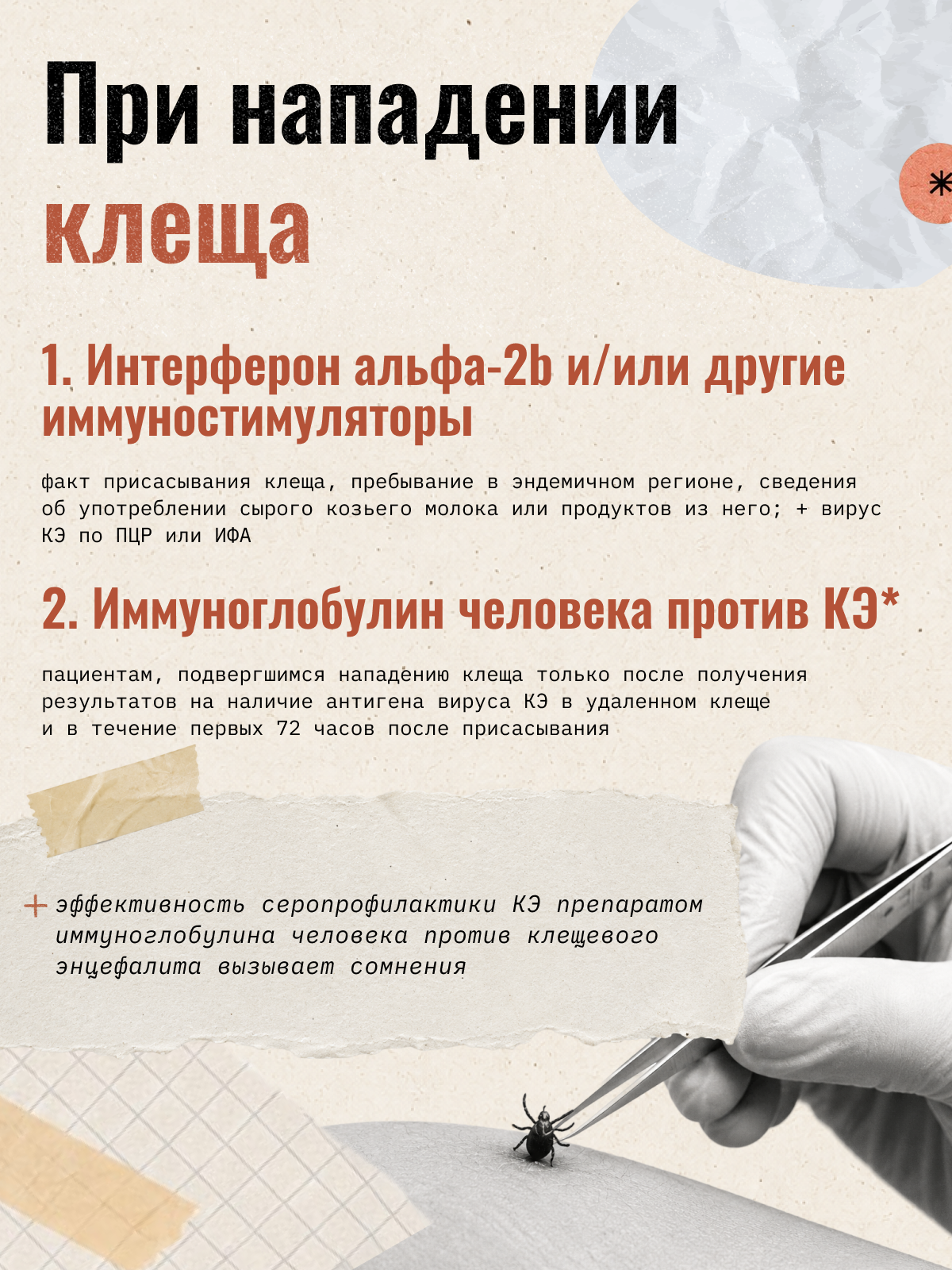 Карточка 24