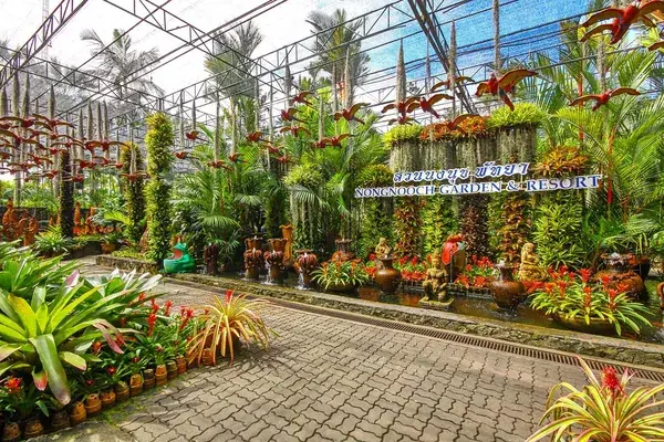Оранжерея с красными попугаями и вывеской Nongnooch Garden