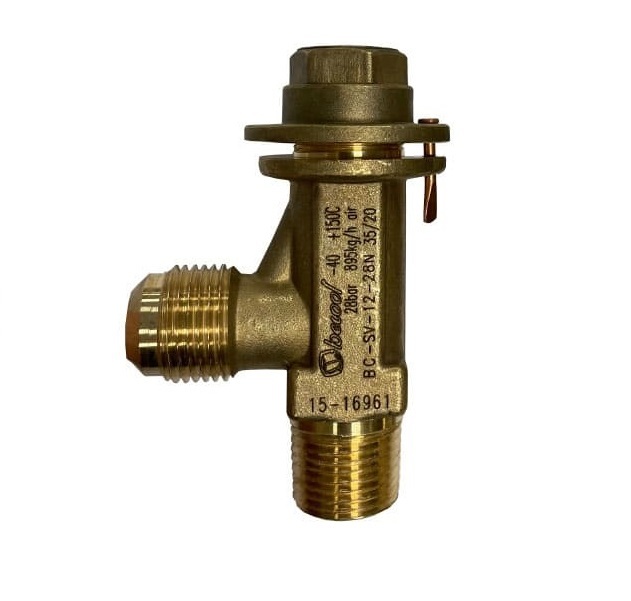 реле давления BC-DPS1