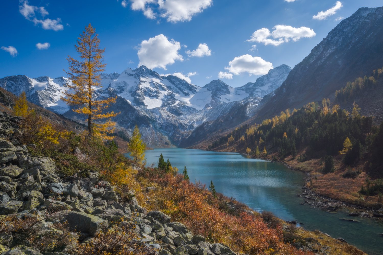 Фото алтай сверху