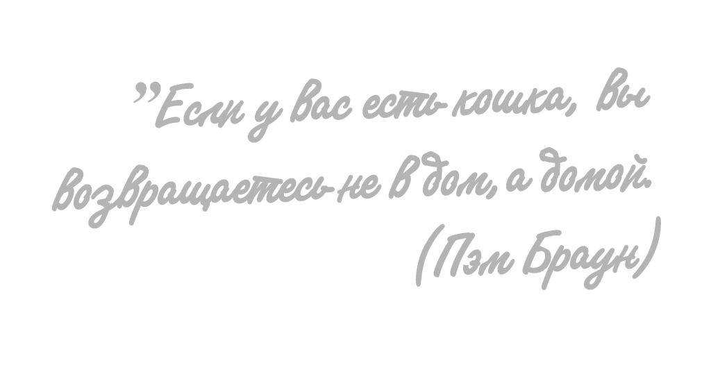 Озон заречный свердловская