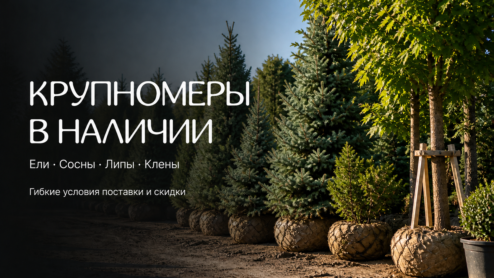 Акция 5
