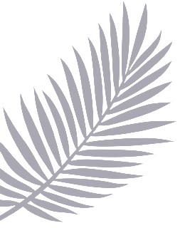 ветка куста