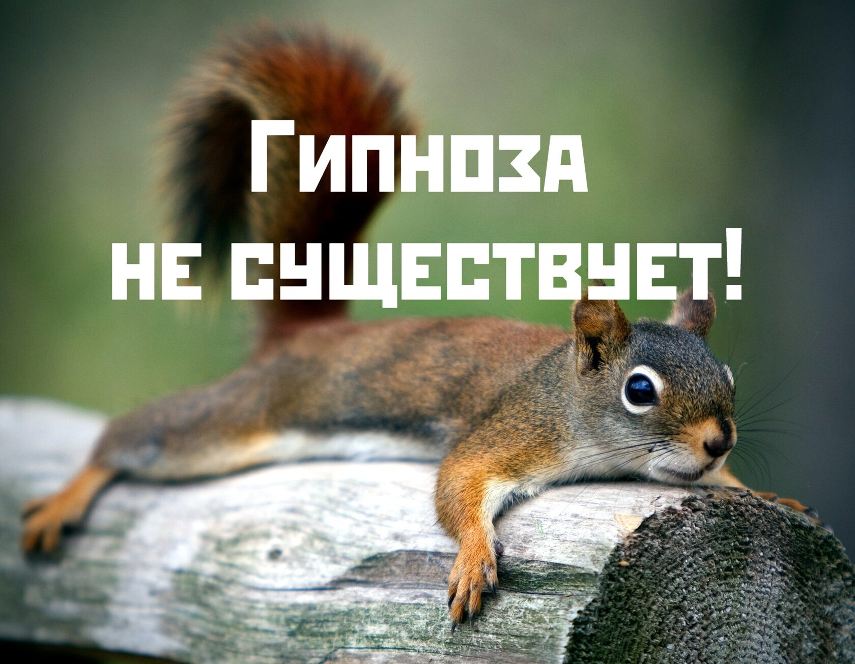 про гипноз