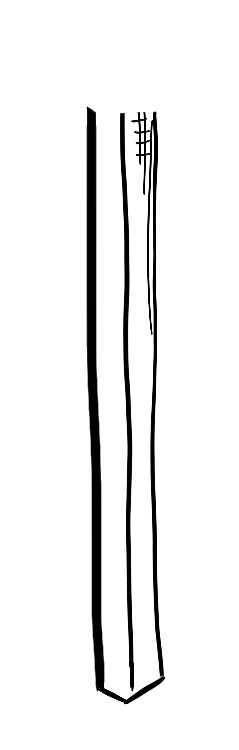 Дом Лизы Калитиной