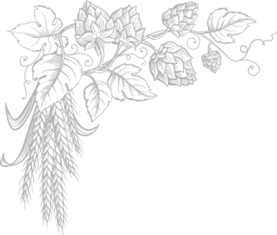 Пивоварня HopfenBerg