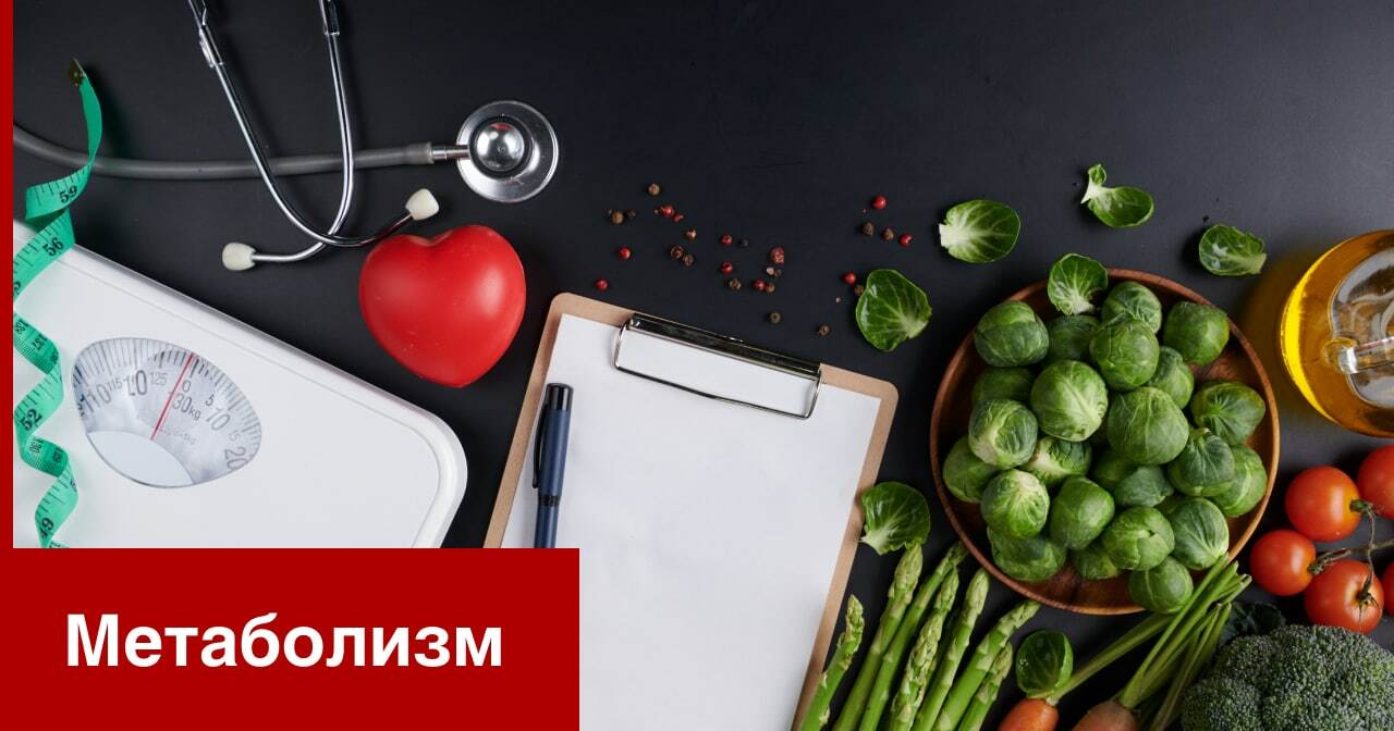 Метаболизм