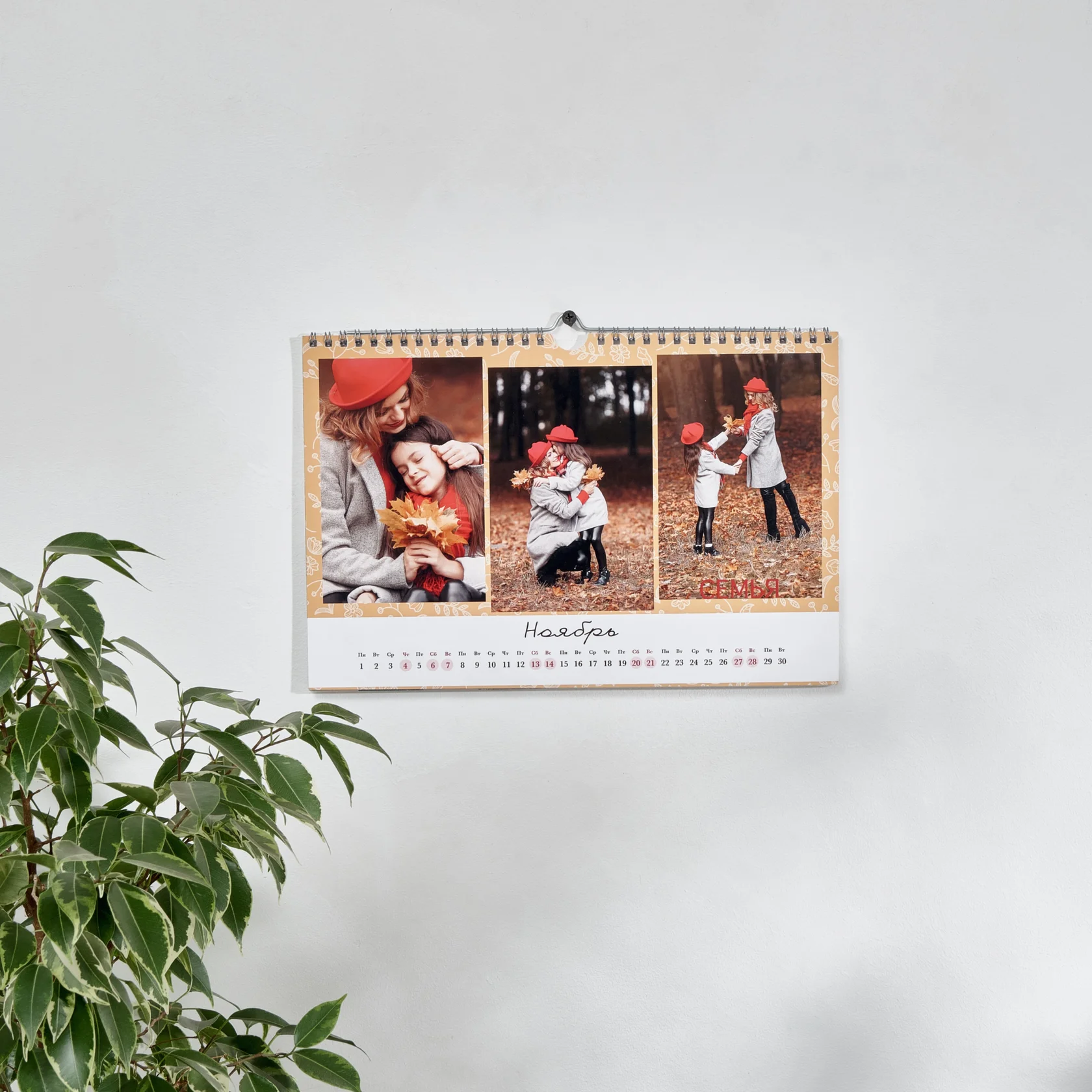 Имиджевая фотография