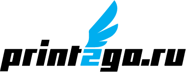 Prin2Go текстовый логотип