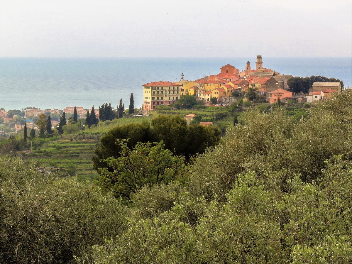 Мы снова в деле! И продолжаем радовать вас новыми продуктами!