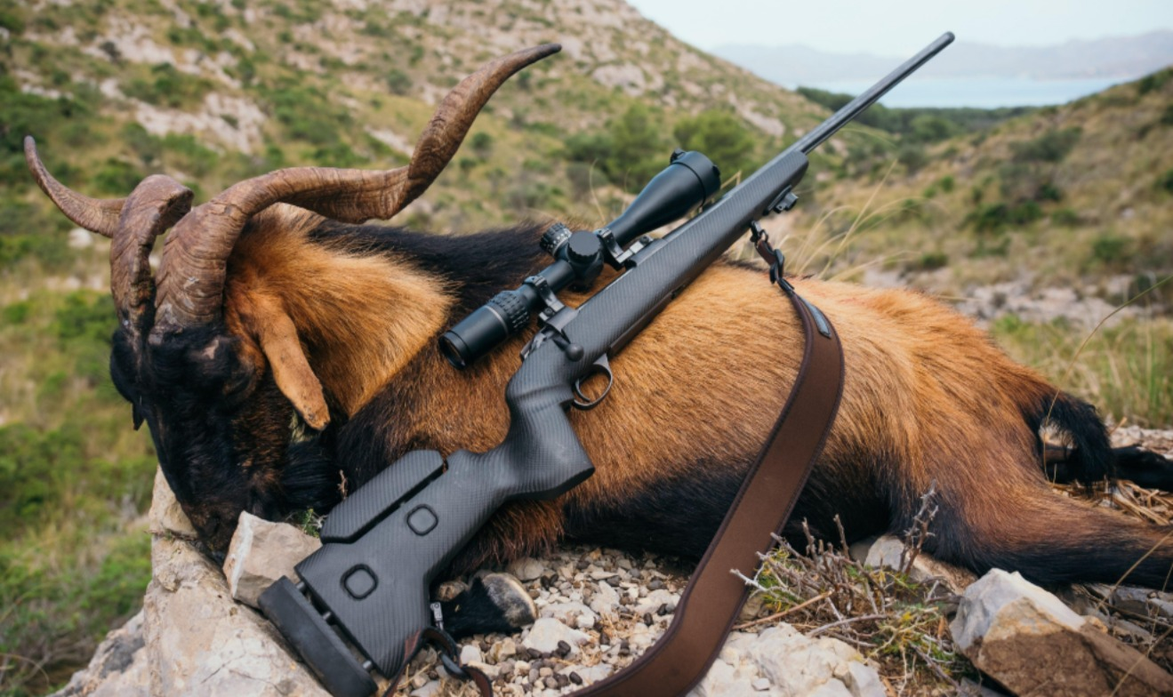 Оптические прицелы для высокоточной стрельбы