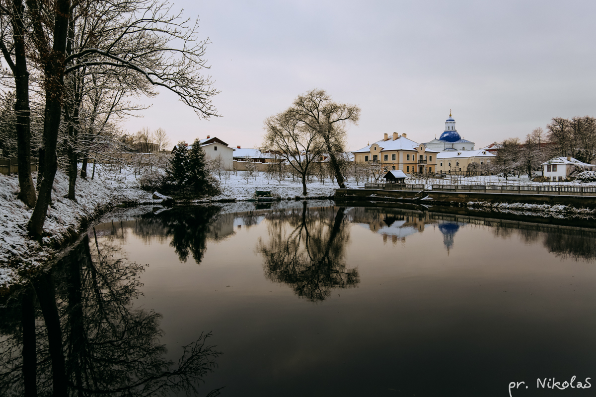 Жизнь слонима