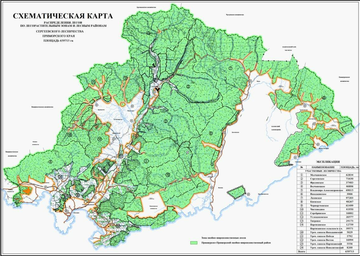 Карта лесничеств и кварталов Забайкальского края. Карта лесхоза. Карта кварталов леса. Карты лесного хозяйства