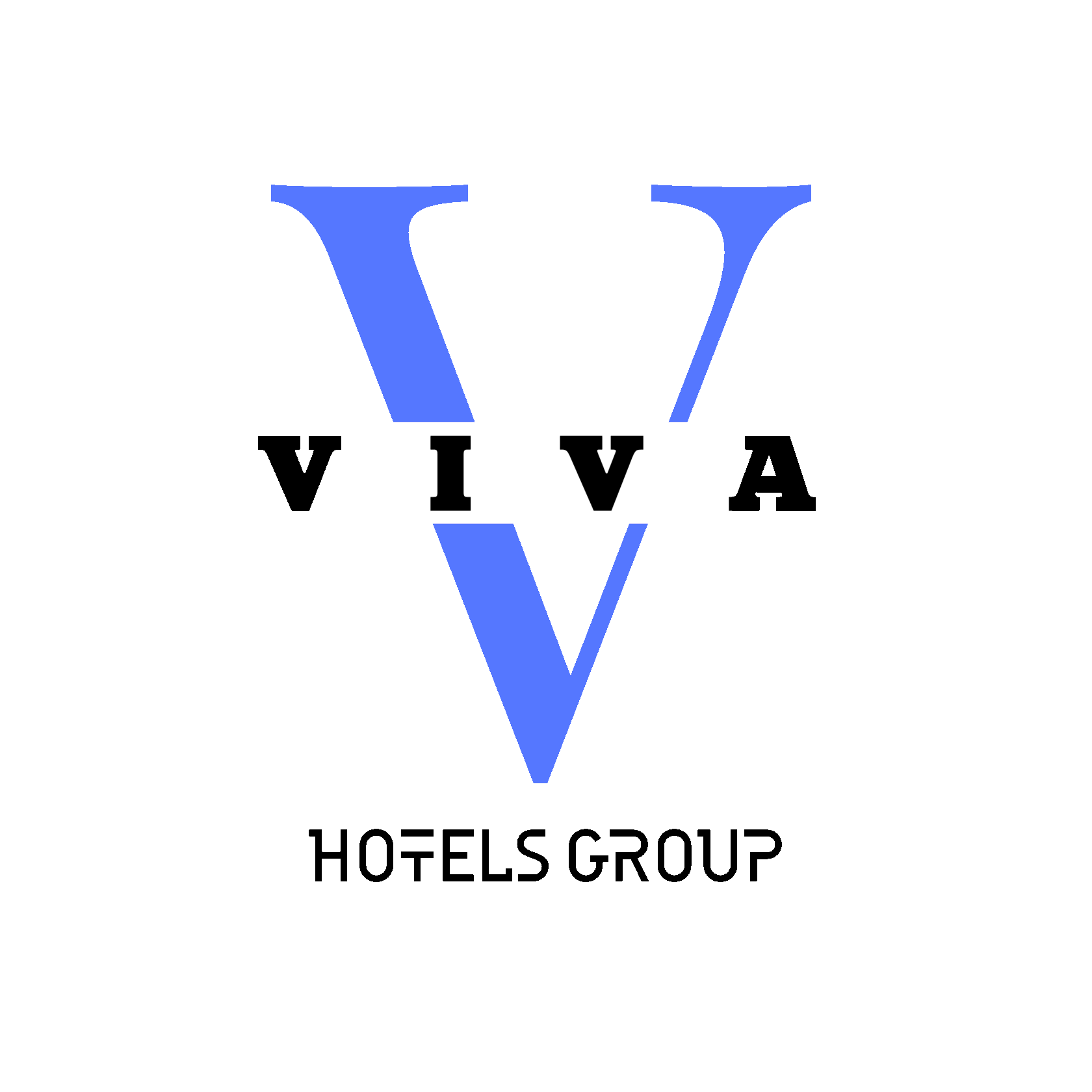 VIVA HOTELS GROUP