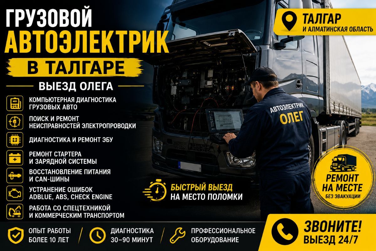 Грузовой автоэлектрик в Талгаре — выезд Олега