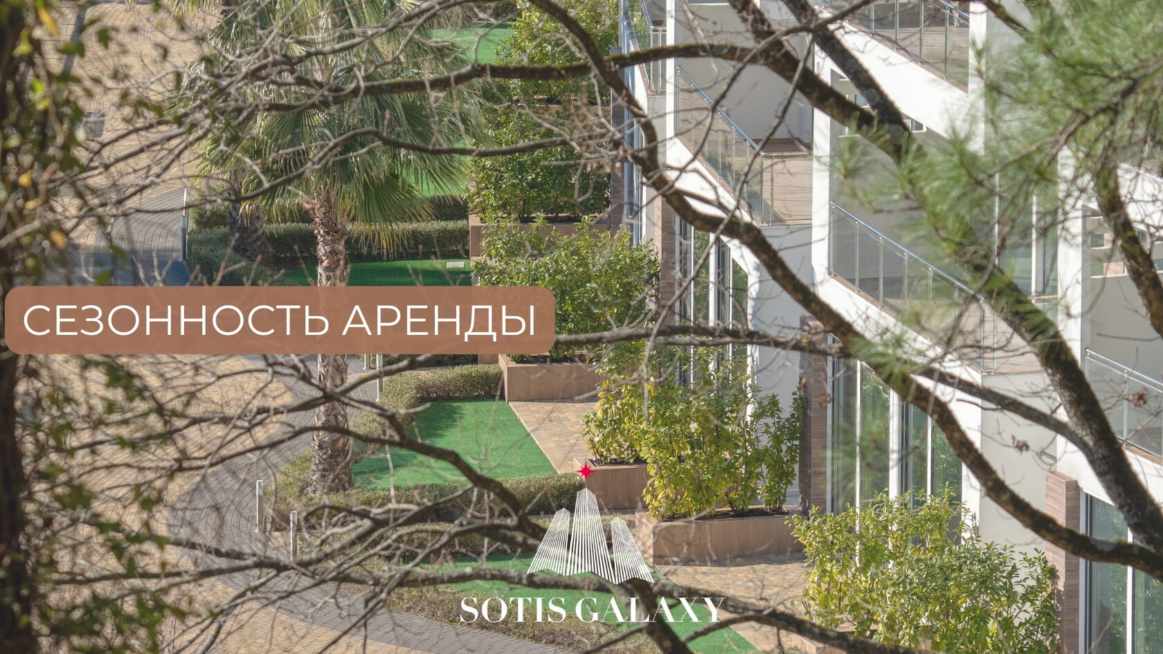 Сезонность аренды - вид на современные здания и зелёную территорию через ветви деревьев.