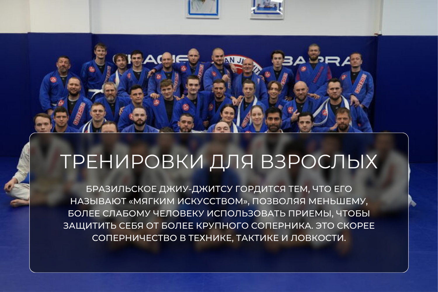 Gracie Barra — джиу-джитсу для детей и взрослых в Санкт-Петербурге