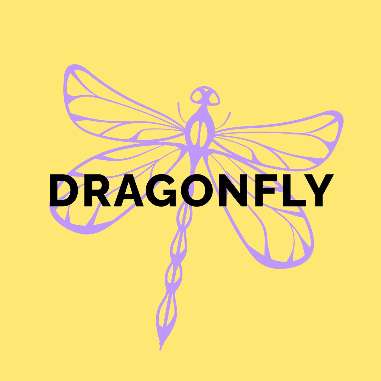 Индивидуальные онлайн-занятия для школьников 1-11 классов | DragonFly