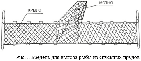 Бредень для вылова рыбы из спускных прудов