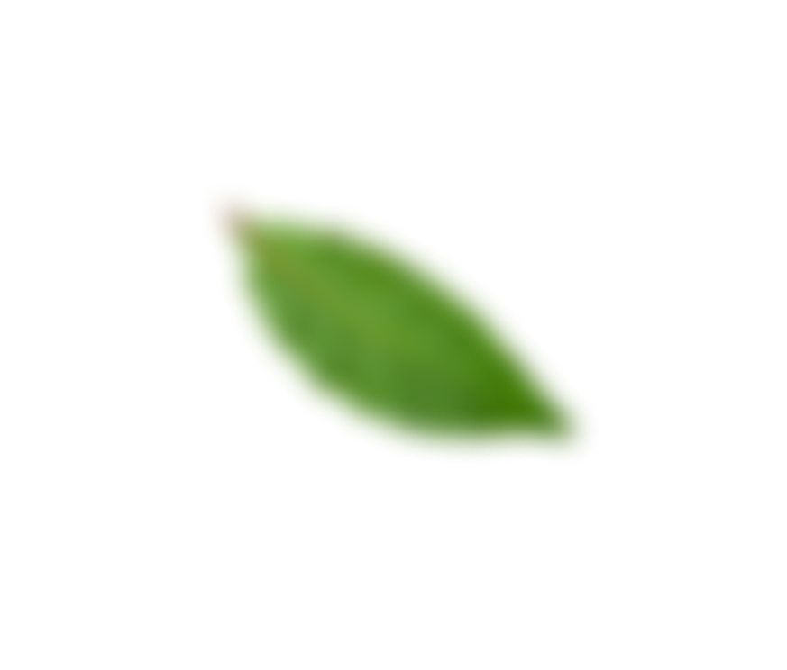 Спасибо за регистрацию, Обрезка